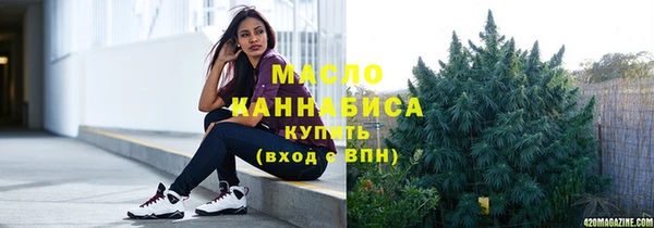 mix Инта