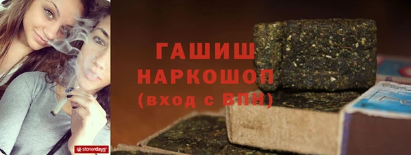 mix Инта