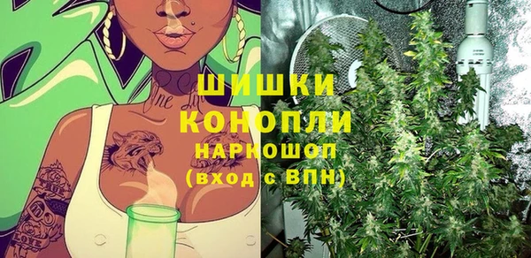 mix Инта