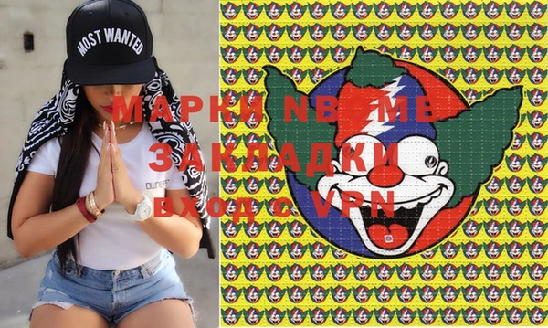 mix Инта