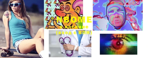 mix Инта