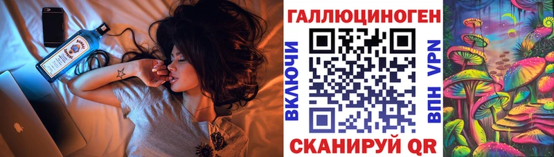 Псилоцибиновые грибы Psilocybe  Купить где  Десногорск 
